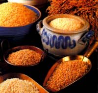 alimentacion saludable
